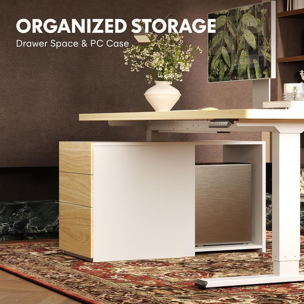 Meja Kerja Berdiri 55 inci den - Desk Setup Dual Monitor ulasan dan harga